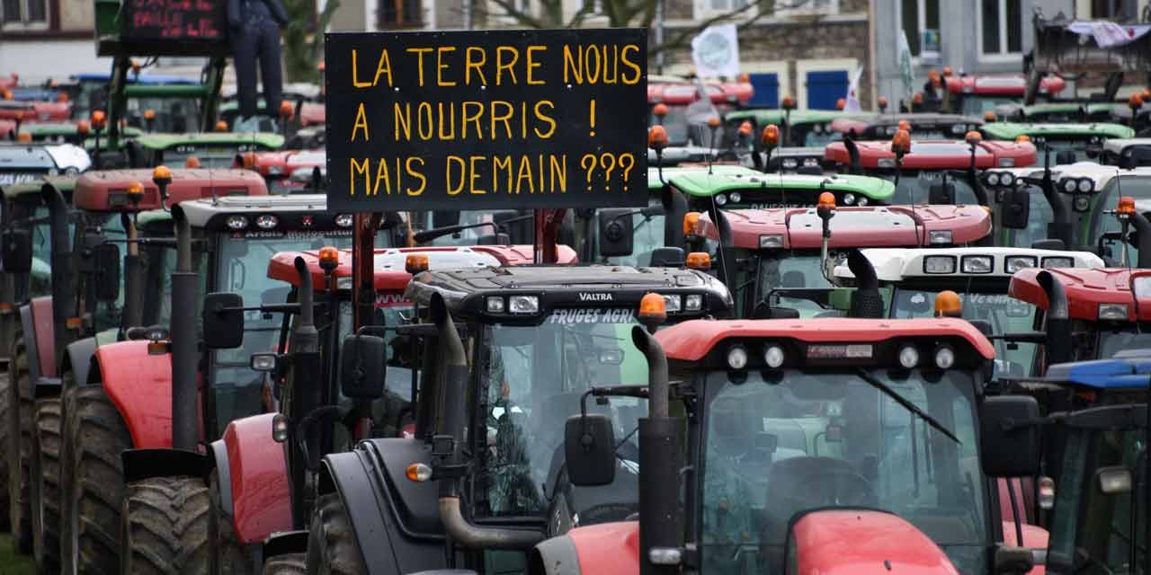 Yves d’Amécourt - Crise agricole française : le temps long contre le temps court